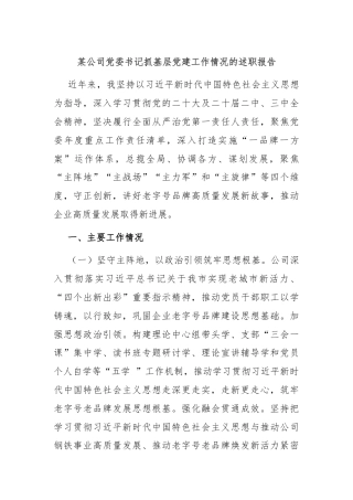 某公司党委书记抓基层党建工作情况的述职报告