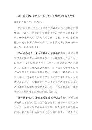 审计局长学习党的二十届三中全会精神心得体会发言