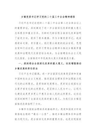 乡镇党委书记学习党的二十届三中全会精神感悟