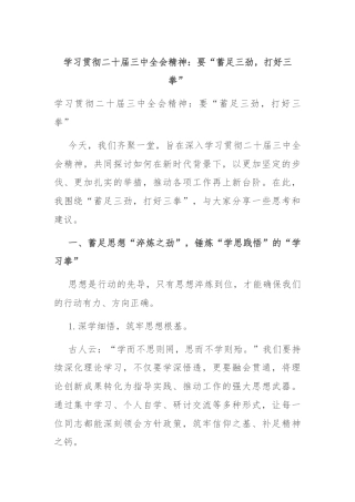 学习贯彻二十届三中全会精神：要“蓄足三劲，打好三拳”
