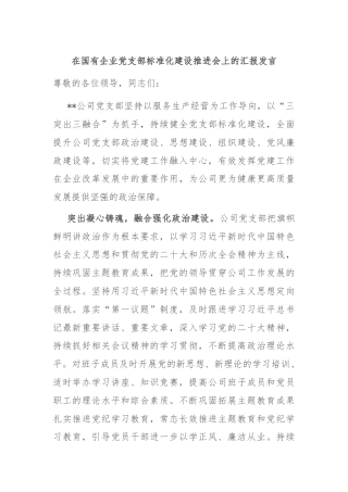 在国有企业党支部标准化建设推进会上的汇报发言