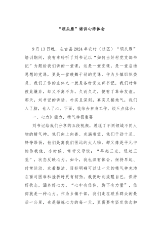 “领头雁”培训心得体会