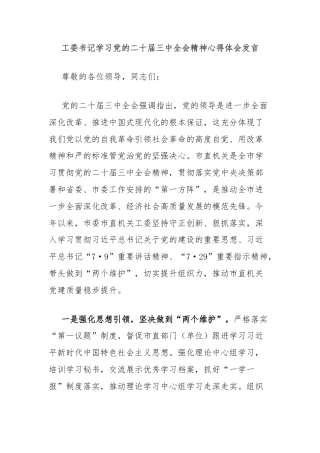 工委书记学习党的二十届三中全会精神心得体会发言