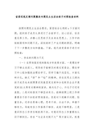 省委巡视反馈问题整改专题民主生活会班子对照检查材料