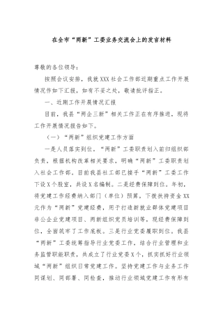 在全市“两新”工委业务交流会上的发言材料