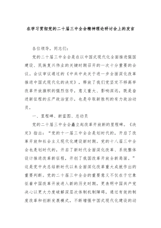 在学习贯彻党的二十届三中全会精神理论研讨会上的发言