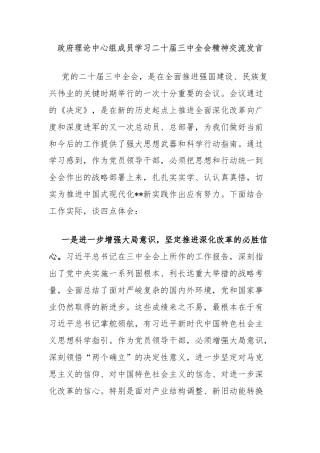 政府理论中心组成员学习二十届三中全会精神交流发言