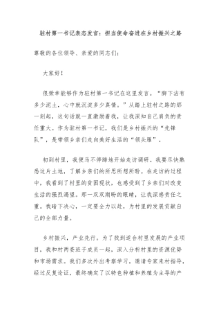 驻村第一书记表态发言：担当使命奋进在乡村振兴之路