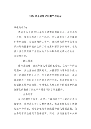 2024年总经理试用期工作总结