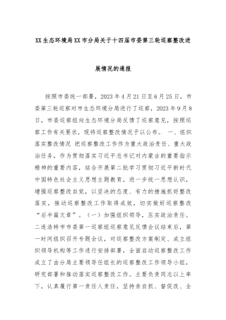 XX生态环境局XX市分局关于十四届市委第三轮巡察整改进展情况的通报