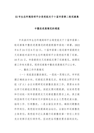 XX市生态环境局邹平分局党组关于十届市委第二轮巡察集中整改进展情况的通报