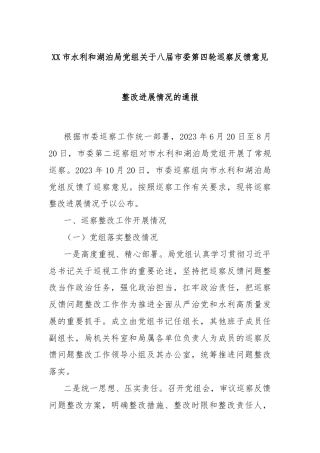 XX市水利和湖泊局党组关于八届市委第四轮巡察反馈意见整改进展情况的通报