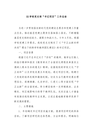 XX学校党支部“书记项目”工作总结
