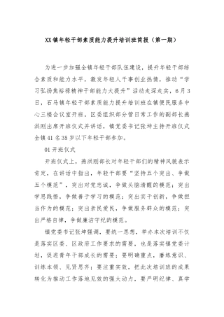 XX镇年轻干部素质能力提升培训班简报（第一期）