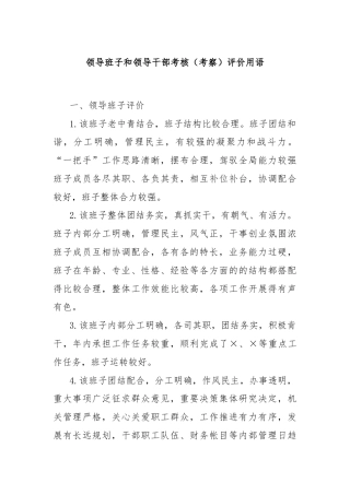 领导班子和领导干部考核（考察）评价用语