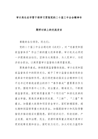 审计局长在市管干部学习贯彻党的二十届三中全会精神专题研讨班上的交流发言