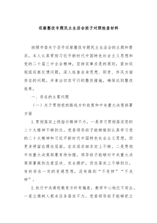 巡察整改专题民主生活会班子对照检查材料