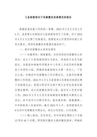 X县档案馆关于巡察整改进展情况的报告