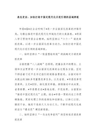 表态发言：加快打造中国式现代化示范引领的县域样板