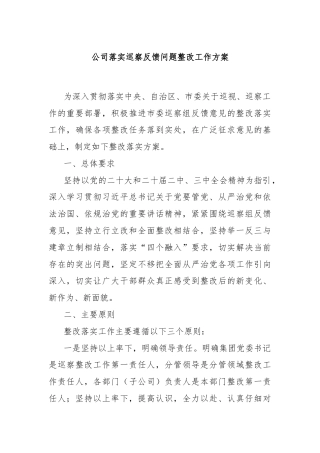 公司落实巡察反馈问题整改工作方案
