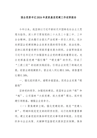 国企党委书记2024年度抓基层党建工作述职报告