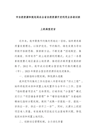市自然资源和规划局在全省自然资源开发利用业务培训班上的典型发言