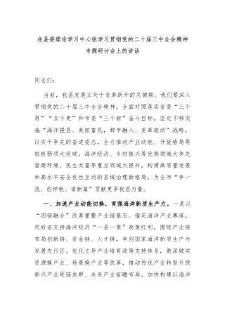 在县委理论学习中心组学习贯彻党的二十届三中全会精神专题研讨会上的讲话