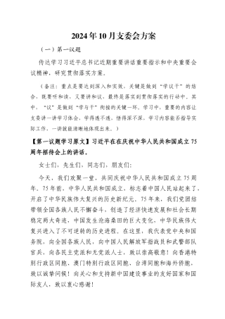 2024年10月支委会方案