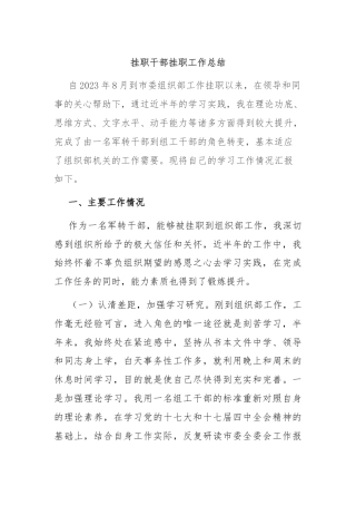 挂职干部挂职工作总结