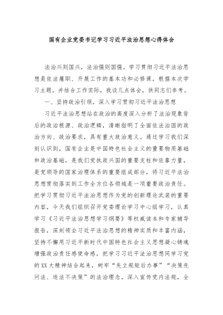国有企业党委书记学习习近平法治思想心得体会