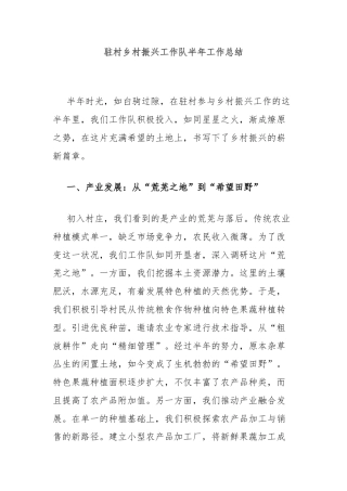 驻村乡村振兴工作队半年工作总结