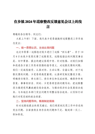 在乡镇2024年巡察整改反馈意见会议上的发言