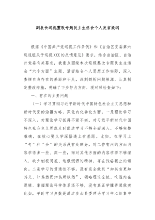副县长巡视整改专题民主生活会个人发言提纲
