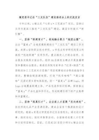 镇党委书记在“三支队伍”建设推进会上的交流发言