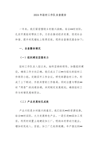 2024年驻村工作队自查报告