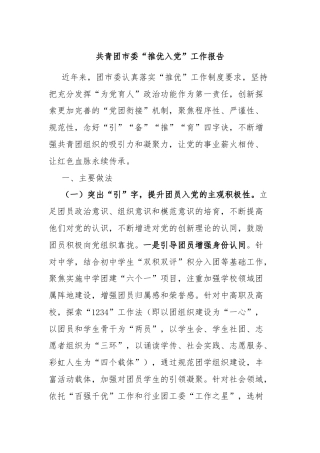 共青团市委“推优入党”工作报告