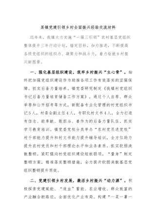 某镇党建引领乡村全面振兴经验交流材料