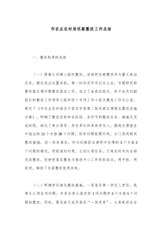 市农业农村局巡察整改工作总结