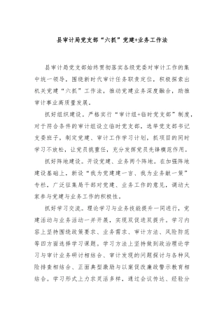 县审计局党支部“六抓”党建+业务工作法
