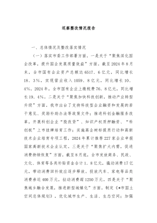 巡察整改情况报告