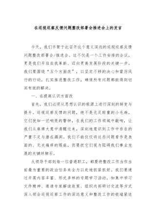 在巡视巡察反馈问题整改部署会推进会上的发言