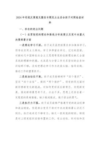 2024年巡视反馈意见整改专题民主生活会班子对照检查材料