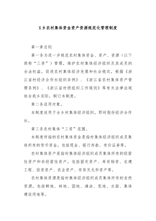 X乡农村集体资金资产资源规范化管理制度