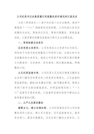 公司纪委书记在集团履行巡视整改责任情况的汇报发言