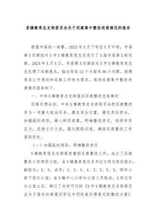 某镇教育总支部委员会关于巡察集中整改进展情况的报告