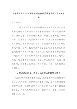 市党委书记在2024年乡镇巡查整改反馈意见会议上的发言稿
