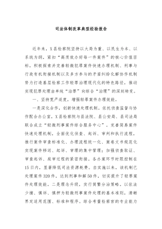 司法体制改革典型经验报告
