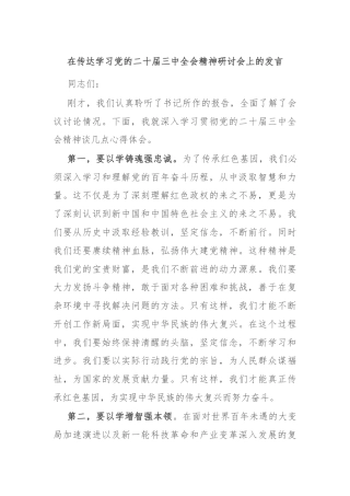 在传达学习党的二十届三中全会精神研讨会上的发言
