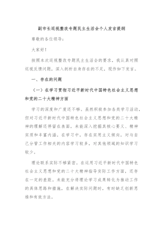 副市长巡视整改专题民主生活会个人发言提纲
