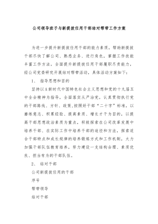 公司领导班子与新提拔任用干部结对帮带工作方案